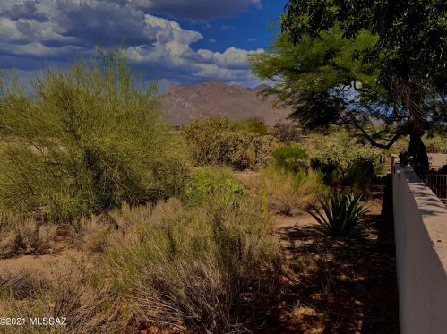 8797 Arnold Palmer Dr, Tucson, AZ 85742-9672