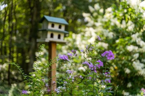 25 Coventry Ln, Torrington CT 06791-2414 exterior