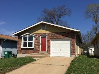 1131 Maple Ave, Saint Louis MO  63138-3054 exterior