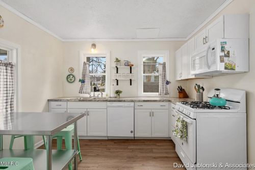 522 Bridge St, Belding MI  48809-1208 exterior