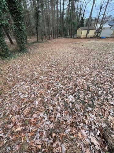 2831 Broxton Mill Ct, Lithonia GA  30039-6279 exterior