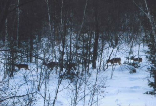 754 County Road 6, Stanford MN 55080-8018 exterior