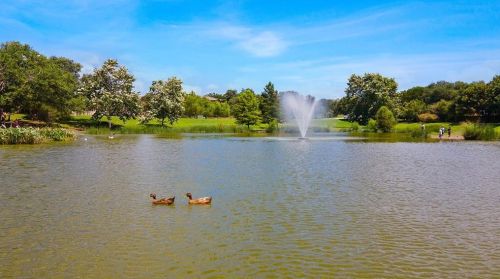 270 Abbott Dr, Austin TX 78737-4536 exterior