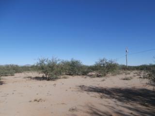 13630 Sundance Trl, Tucson, AZ 85735-2068