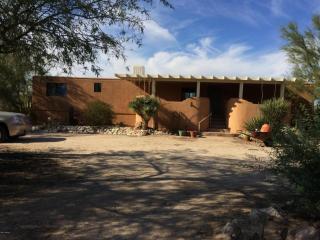 10880 Coyote Ln, Tucson, AZ 85742-8669