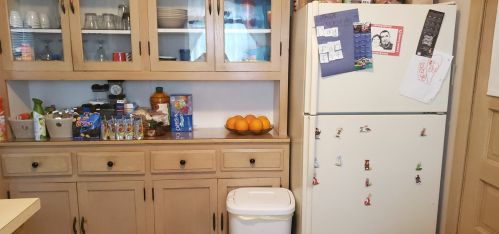 6129 Kildare Ave, Chicago IL 60646-5226 exterior