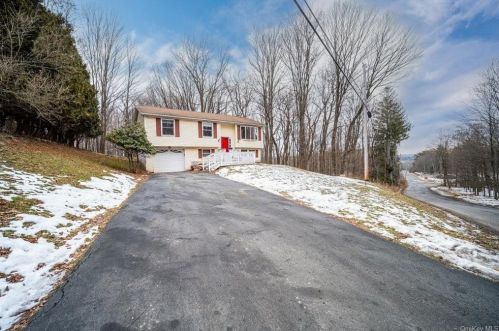 123 Carrier St, Liberty, NY 12754-2100