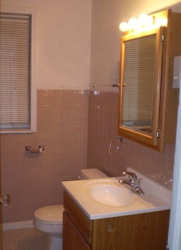 7414 Chappel Ave, Chicago IL 60649-3620 exterior