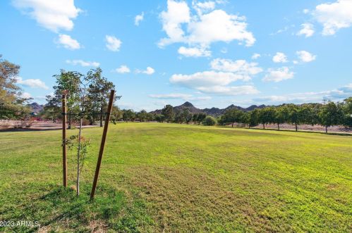 11641 23rd St, Phoenix AZ 85028-1705 exterior