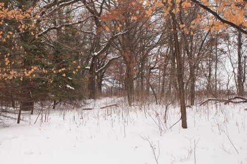 27539 104th St, Zimmerman MN 55398-4662 exterior