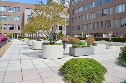 1313 Washington St, Boston MA  02118-2058 exterior