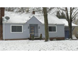 130 Palmetto Ave, Cleveland OH  44146-3226 exterior