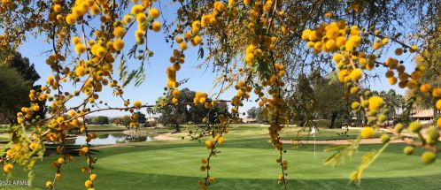 6953 Nantucket St, Chandler AZ 85249-4460 exterior