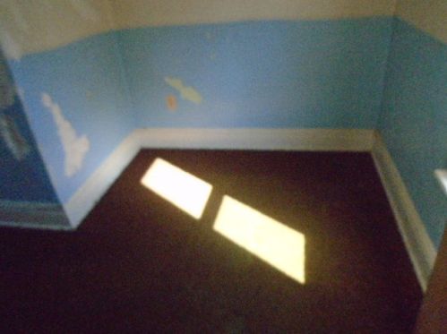 12114 Lowe Ave, Chicago IL 60628-7037 exterior