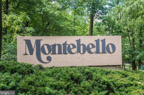 5902 Mount Eagle Dr, Alexandria VA 22303-2513 exterior