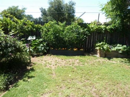 8194 Marshall St, Sutter CA 95982-2315 exterior