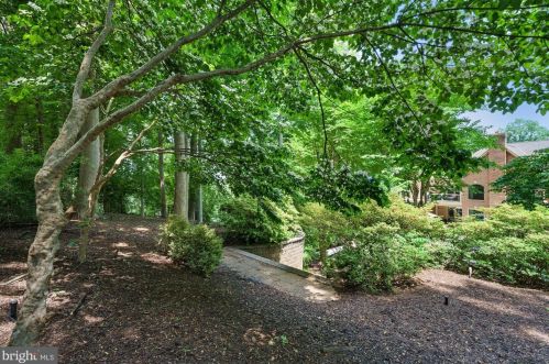 624 Live Oak Dr, Mc Lean VA 22101-1563 exterior