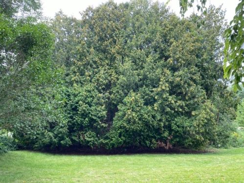 195 Maple St, Methuen MA 01844-1211 exterior