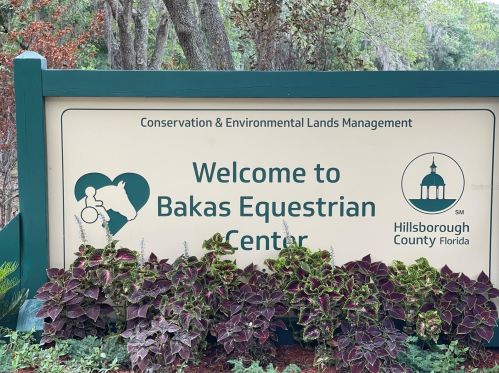 11538 Fountainhead Dr, Tampa FL 33626-3321 exterior