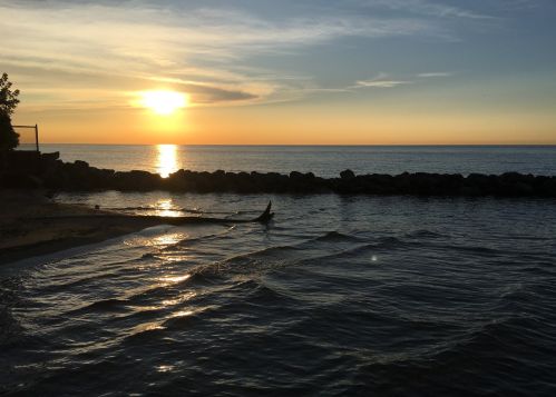 6249 Sheridan Rd, Chicago IL  60660-1701 exterior