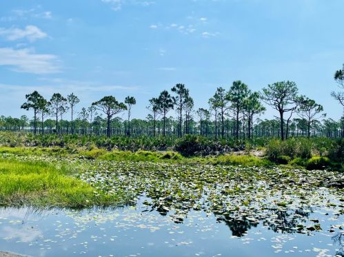 3828 Hydrilla Ct, Fort Pierce, FL 34952-3153