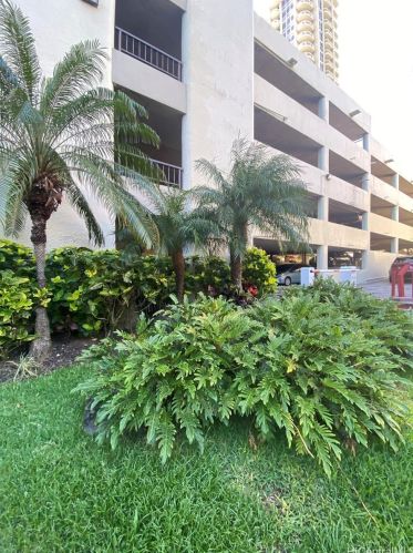 55 Judd St, Honolulu HI  96817-2633 exterior