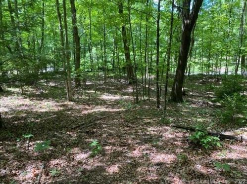 244 St, Roxbury CT 06783-1014 exterior