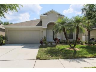 10491 Lucaya Dr, Tampa FL  33647-3325 exterior