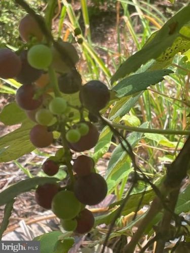 233 Old State Rd, Limerick PA 19468-3116 exterior