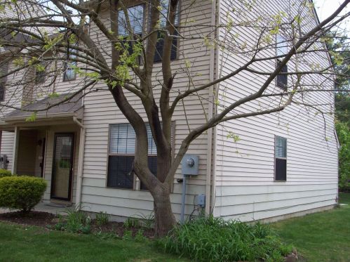 308 Daisy Ct, Jackson Twp, NJ 08527-2584