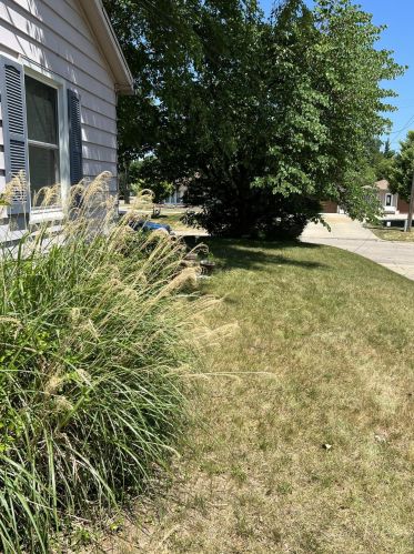 304 Espanola Ave, Kalamazoo MI  49004-1104 exterior