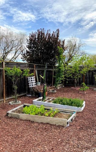 430 Monmouth Dr, Milpitas CA 95035-5927 exterior