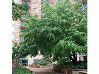 8560 2nd Ave, Silver Spring MD  20910-6300 exterior