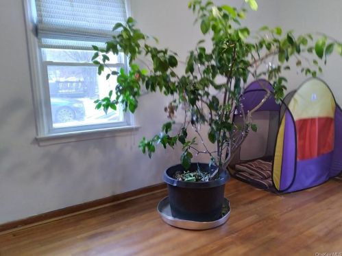 137 Jay St, Stony Point NY 10980-1310 exterior