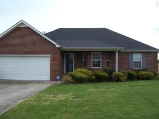 7014 Steen Blvd, Smyrna, TN 37167-8003