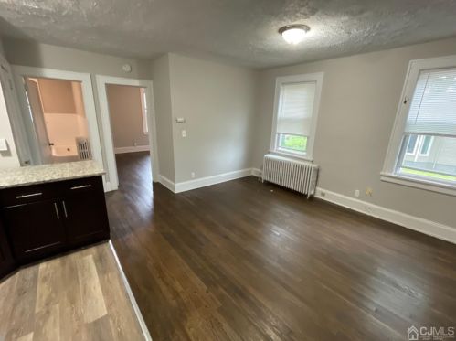 117 1st Ave, New Brunswick NJ  08904-2115 exterior