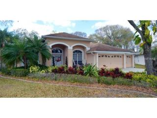 14930 Devonshire Woods Pl, Tampa FL  33624-2240 exterior