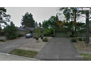 17293 Otani Ct, Cleveland OH  44136-4325 exterior