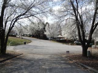 3038 Destin Cir, Lithonia GA  30078-3187 exterior