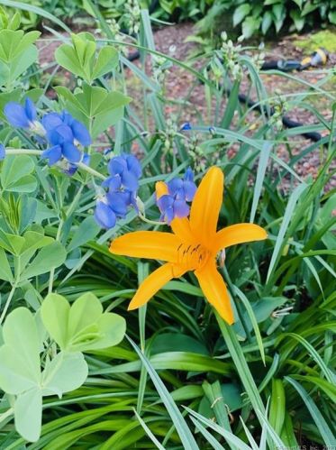 6 Jones Rd, Wallingford CT  06492-4305 exterior