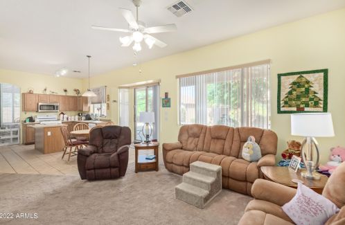 890 Leo Pl, Chandler AZ 85249-5215 exterior