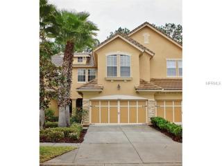 14623 Mirabelle Vista Cir, Tampa, FL 33626-3347