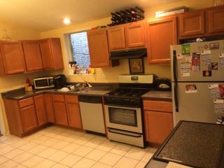 1063 Cornelia Ave, Chicago IL  60657-6688 exterior