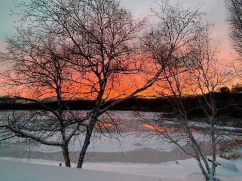 4206 Lk Frst Dr, Kalamazoo MI 49008-3309 exterior