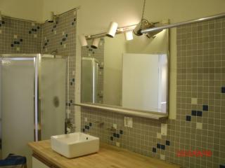 1441 Blackhawk St, Chicago IL  60642-2308 exterior