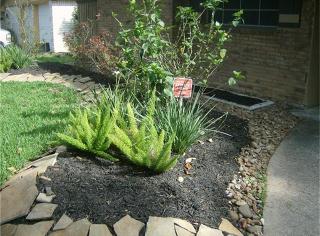 13358 Hollypark Dr, Houston TX  77015-2820 exterior