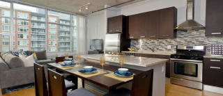 1135 Delano Ct, Chicago IL  60605-3457 exterior