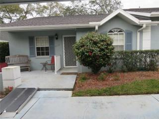 6715 Basswood Cir, Zephyrhills FL  33542-6612 exterior