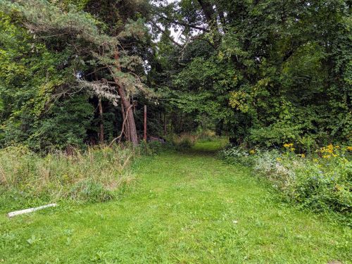 15870 Shaner Ave, Cedar Springs MI 49319-9724 exterior