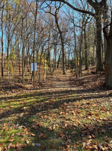 4162 Bronson Blvd, Kalamazoo MI 49008-3159 exterior